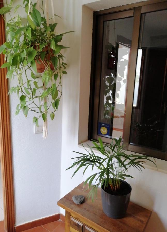 Villa Casa Amaia à Arrecife  Extérieur photo