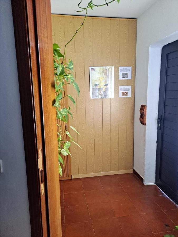 Villa Casa Amaia à Arrecife  Extérieur photo